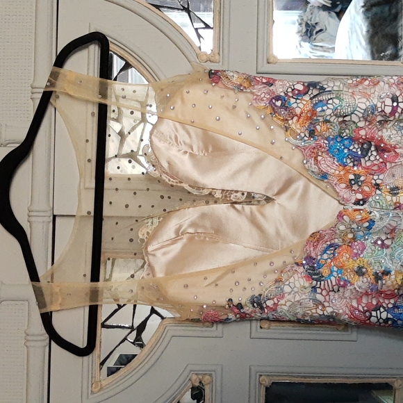 Pastel Lace Tie Dyed Rhinestone embellished gown. - Picture 5 of 8